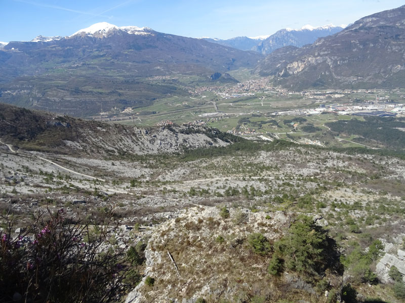 Aquila reale e Corvo imperiale